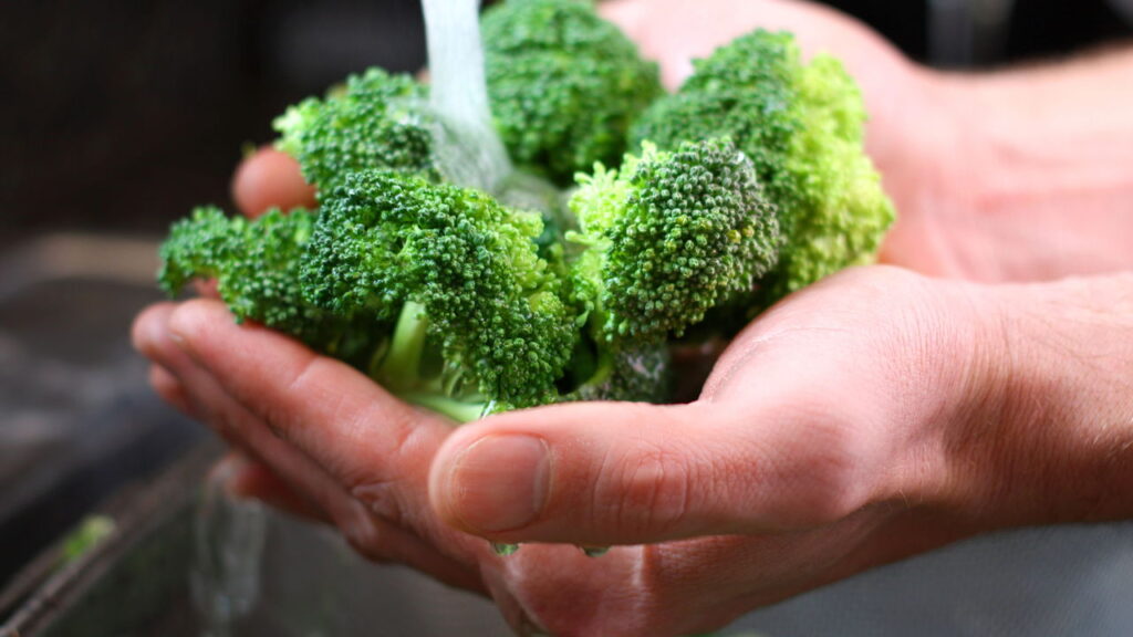 Cultive brócolis em casa e garanta alimentos frescos sempre