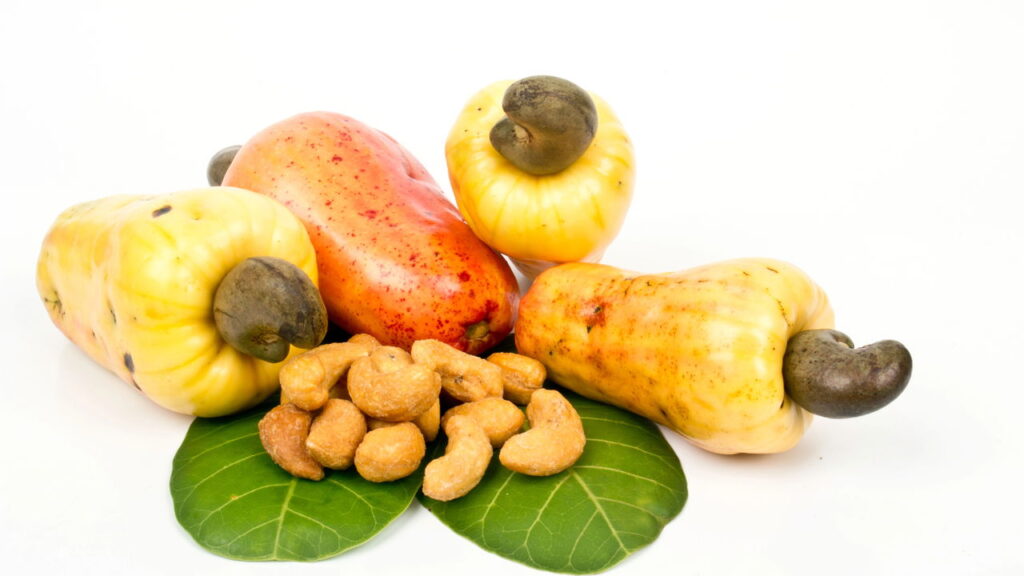 Todo mundo acha que é fruta, mas não é