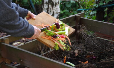 Transforme cascas de frutas em fertilizante natural