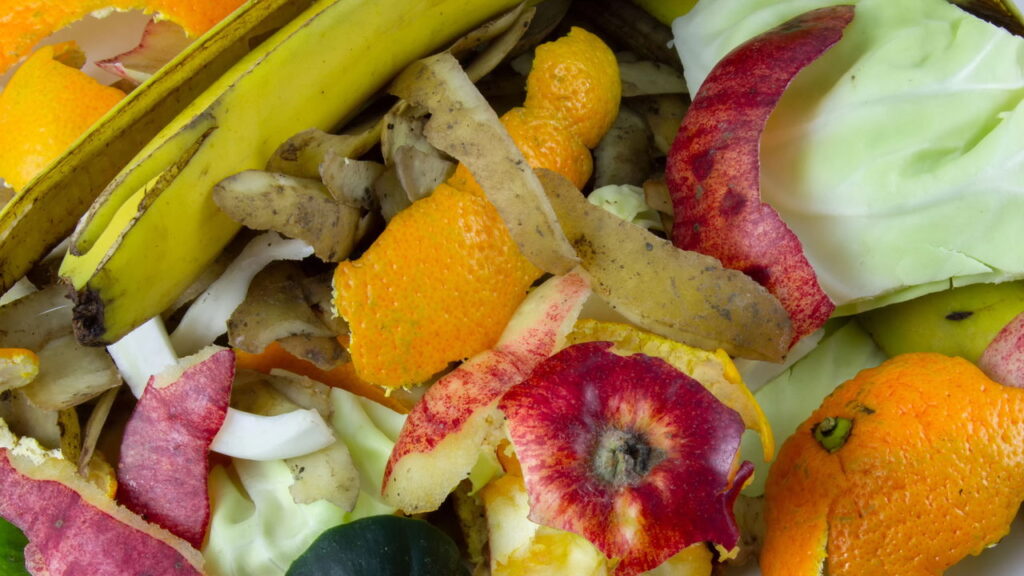 Transforme cascas de frutas em fertilizante natural
