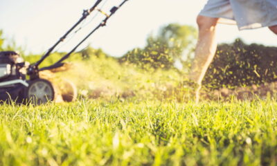 Sua grama vai crescer mais verde e bonita em agosto se você evitar esse erro ao cortá-la