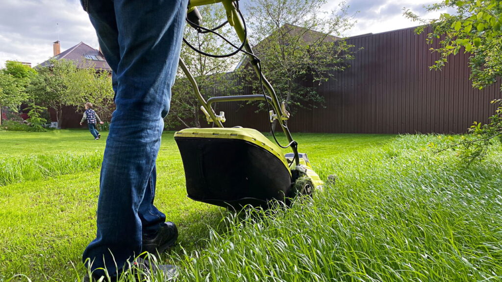 Sua grama vai crescer mais verde e bonita em agosto se você evitar esse erro ao cortá-la