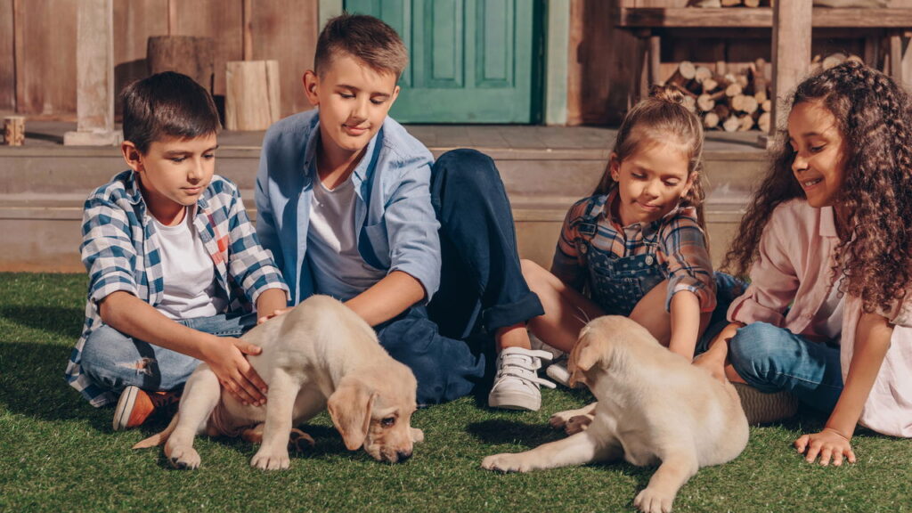 Dia Mundial do Cachorro celebra nossos melhores amigos de 4 patas