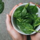 Espinafre fica mais gostoso e sem amargor se você cozinhar com 1 ingrediente simples