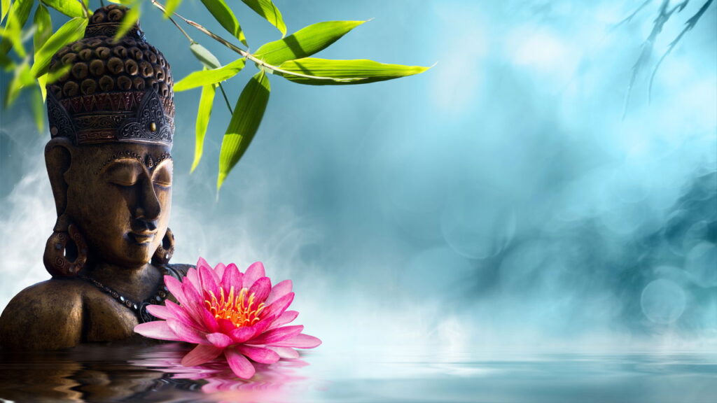 Flores do Feng Shui atraem prosperidade e energia positiva