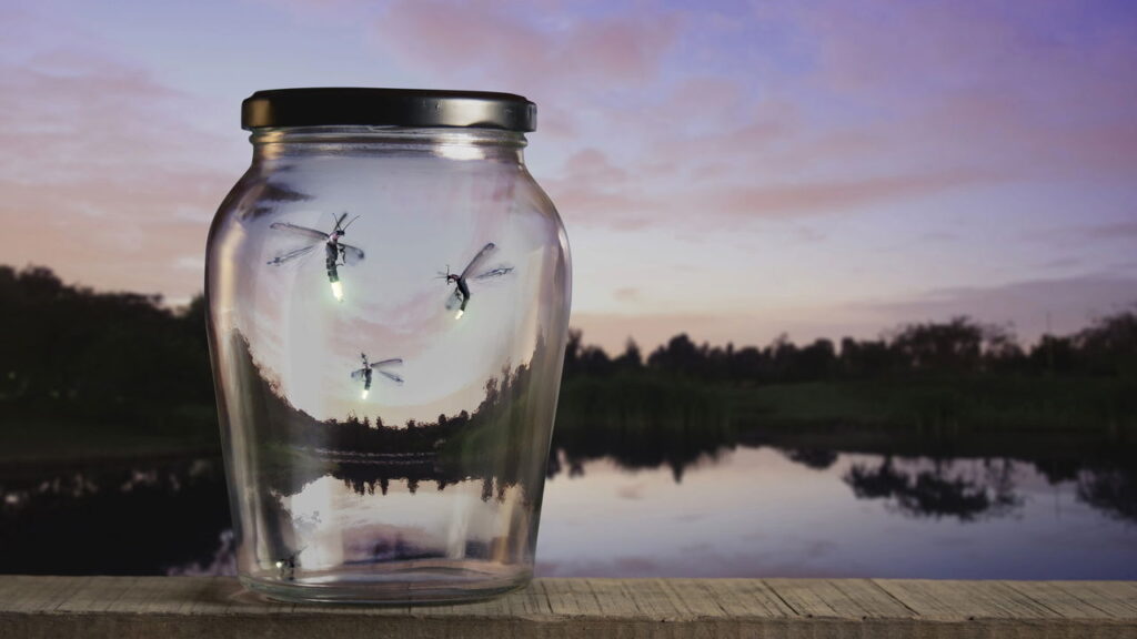 Cientistas preveem extinção em massa dos vaga-lumes