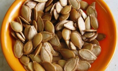 Sementes de abóbora surpreendem com praticidade e valor nutritivo elevado