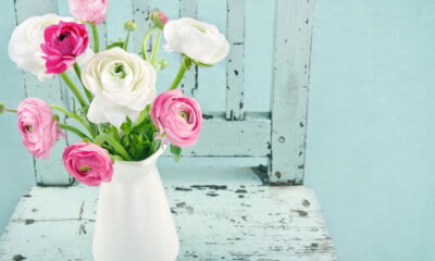 Faça as flores durarem o dobro em vasos com essa dica