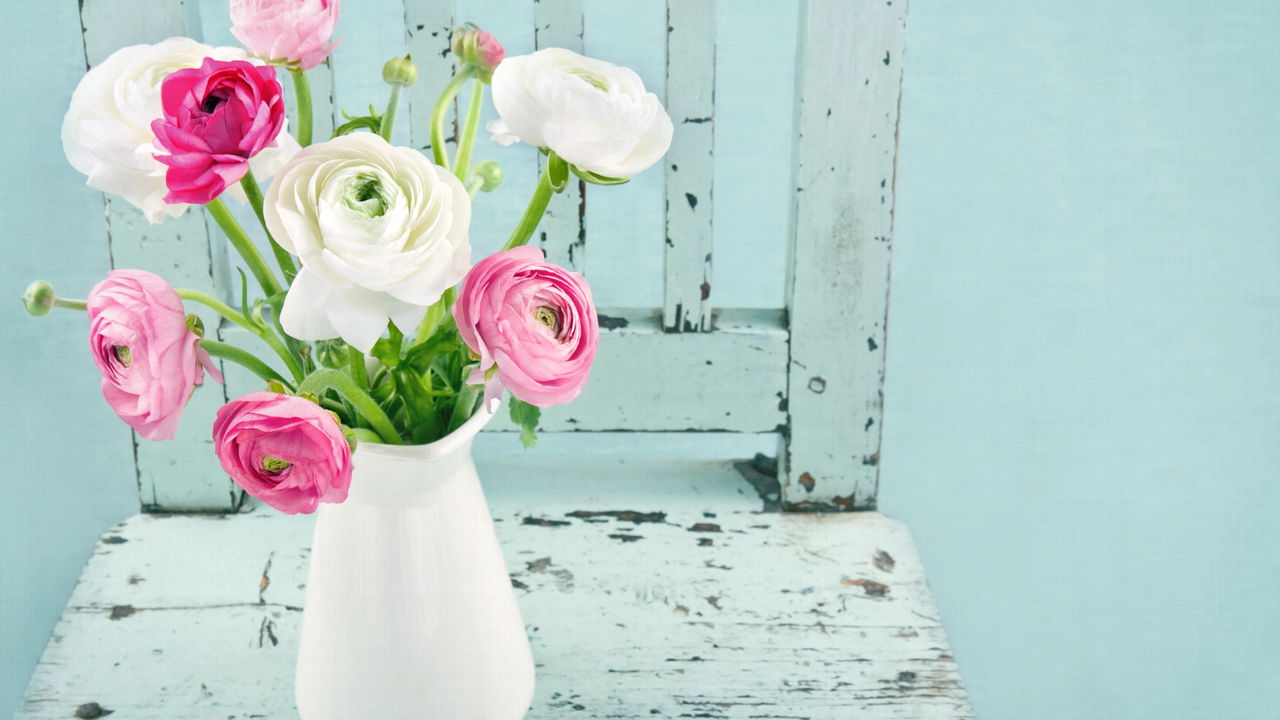 Faça as flores durarem o dobro em vasos com essa dica