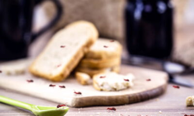 O que significa a presença de formigas em casa