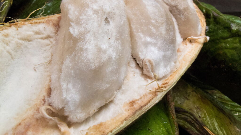 Essa fruta brasileira tem gosto de sorvete de baunilha e nasce o ano todo