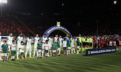 Jogadores do Palmeiras pelo Brasileirão
