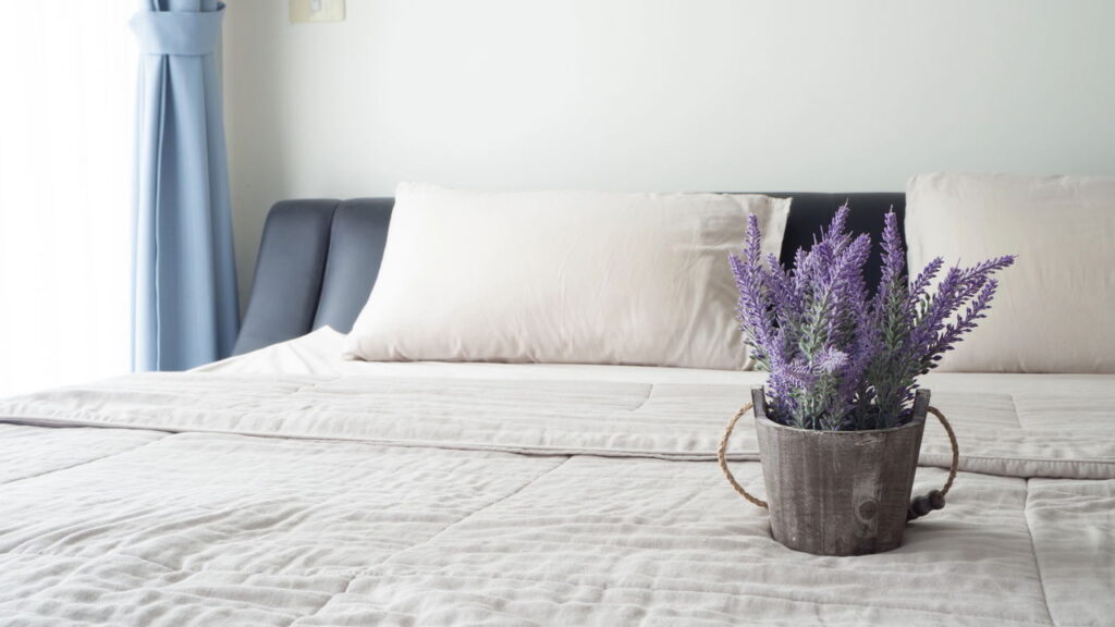 Planta que melhora o sono e purifica o quarto
