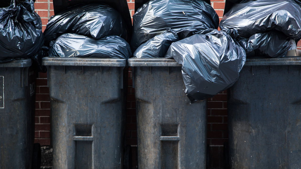 A técnica que elimina cheiro de lixo em segundos