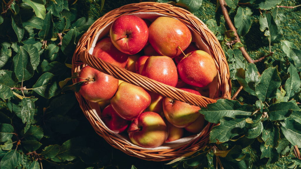 5 árvores para plantar em casa e ter frutas o ano todo sem esforço