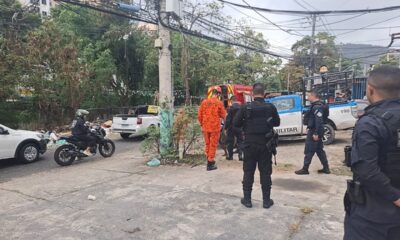 Explosão de granada em lixeira deixa morador de rua ferido na Gardênia Azul