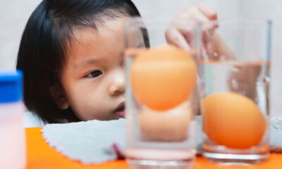 O que significa quando um ovo boia na agua