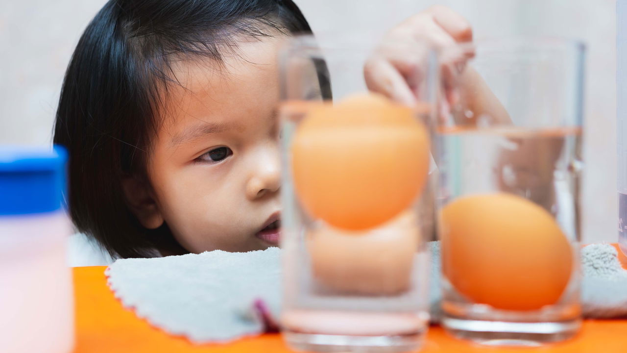 O que significa quando um ovo boia na agua