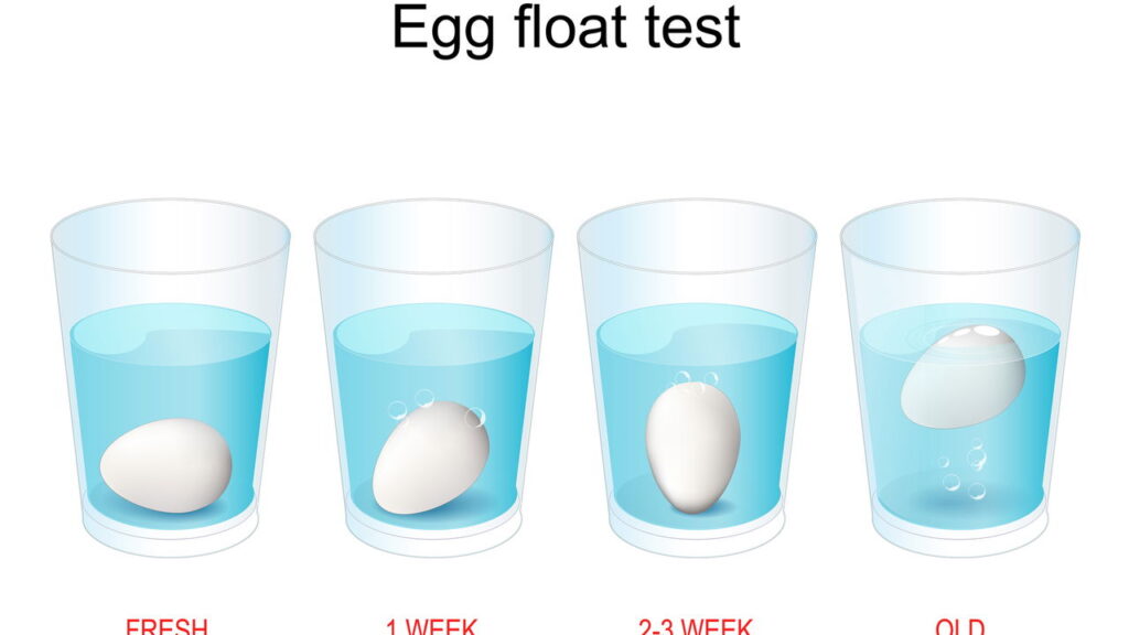 O que significa quando um ovo boia na agua