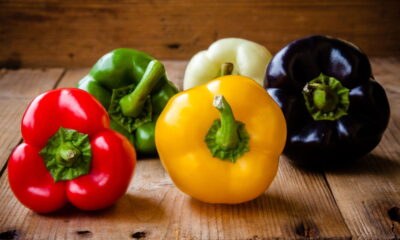 Como plantar pimentão em garrafa PET