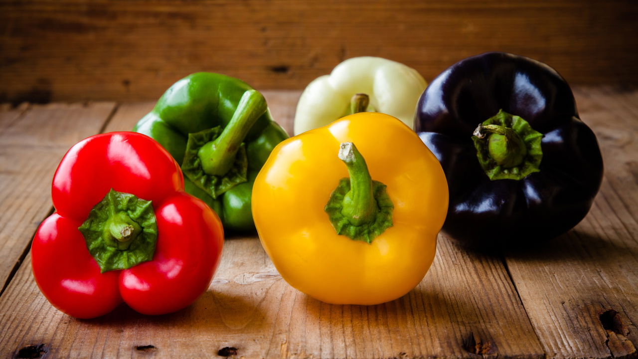 Como plantar pimentão em garrafa PET