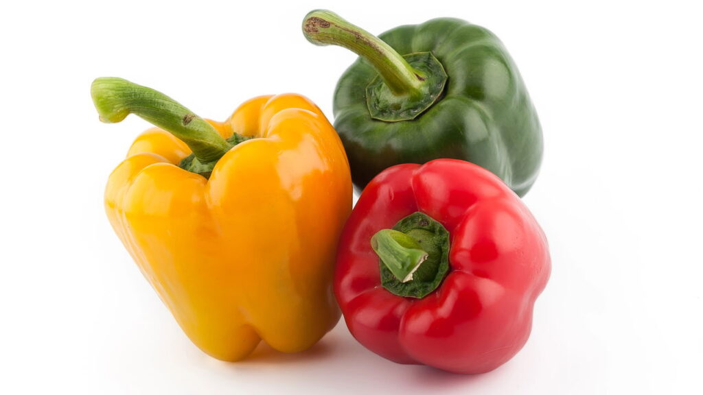 Como plantar pimentão em garrafa PET
