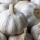 Tenha alho fresco sempre à mão e colha saúde direto da sua horta