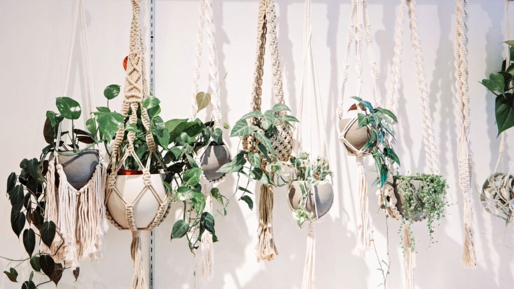 Como usar plantas suspensas para valorizar sua sala de estar
