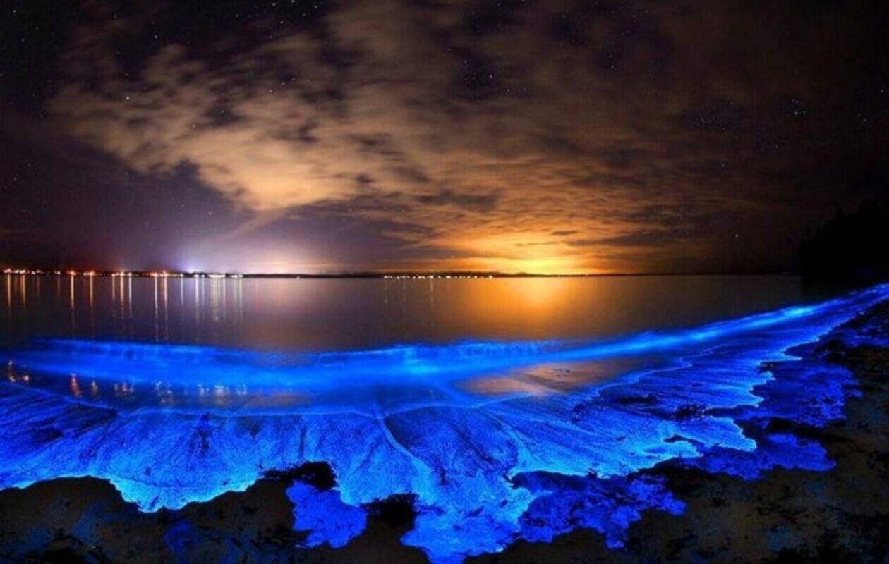 Veja a praia que brilha no escuro