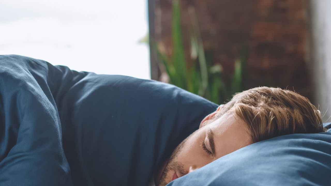 Planta que melhora o sono e purifica o quarto