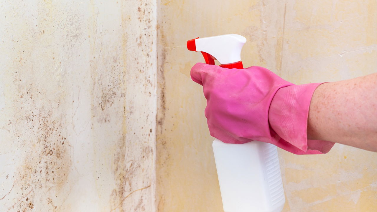 Truque caseiro para limpar paredes manchadas