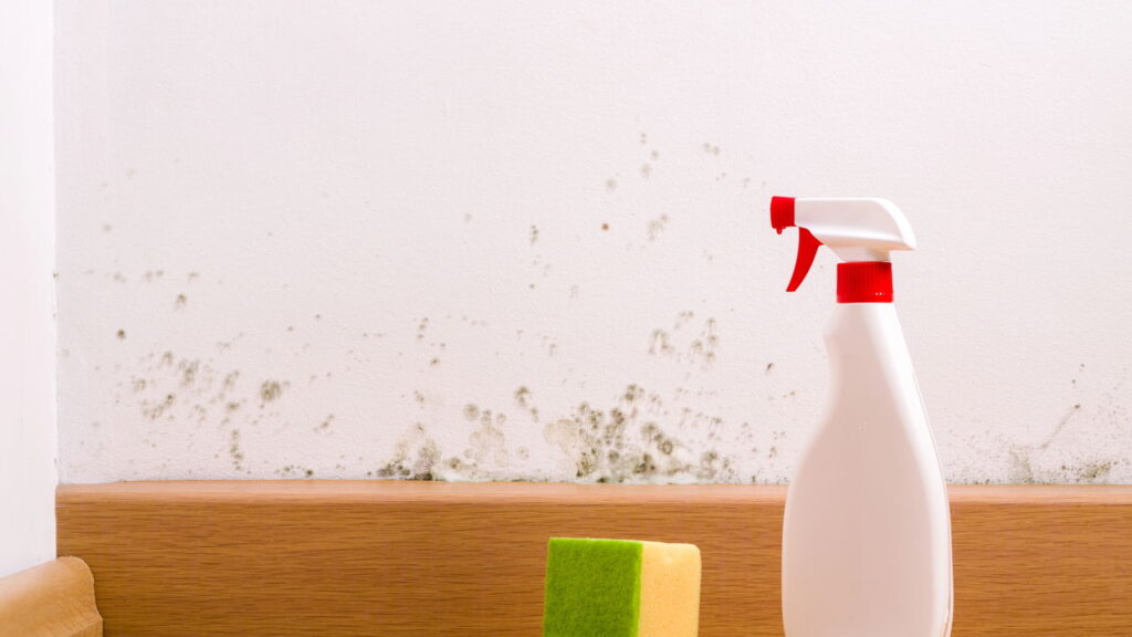 Truque caseiro para limpar paredes manchadas