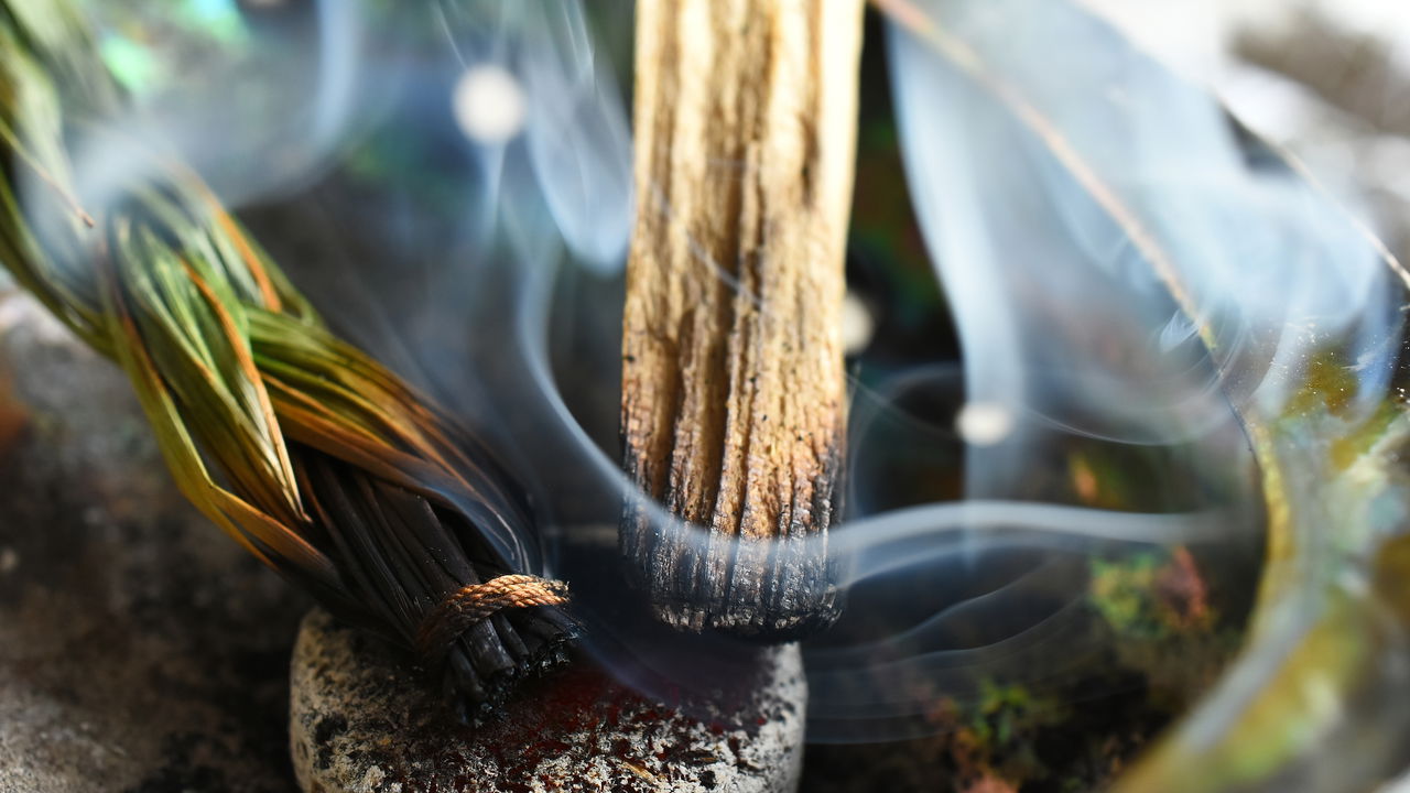 Planta poderosa traz sorte e é usada em rituais