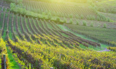 Essa é considerada a cidade mais acolhedora e segura do RS