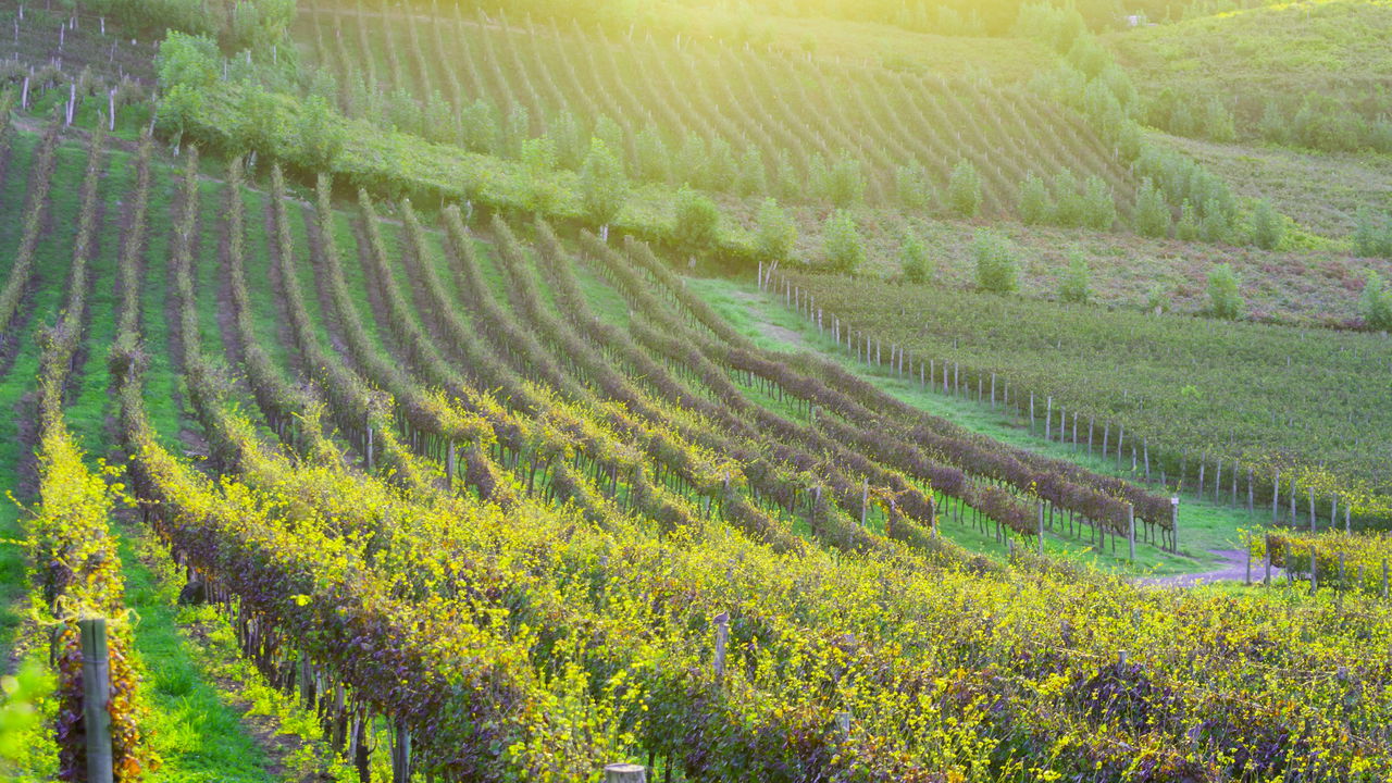 Essa é considerada a cidade mais acolhedora e segura do RS