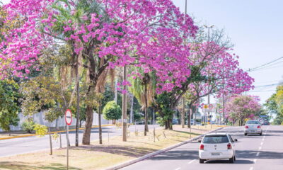 Nem todo paraíso está no litoral, e esta cidade prova isso