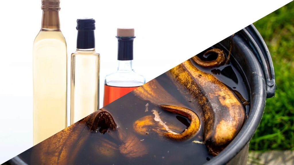 A mistura de casca de banana e vinagre pode parecer inusitada, mas possui aplicações surpreendentes e benéficas.