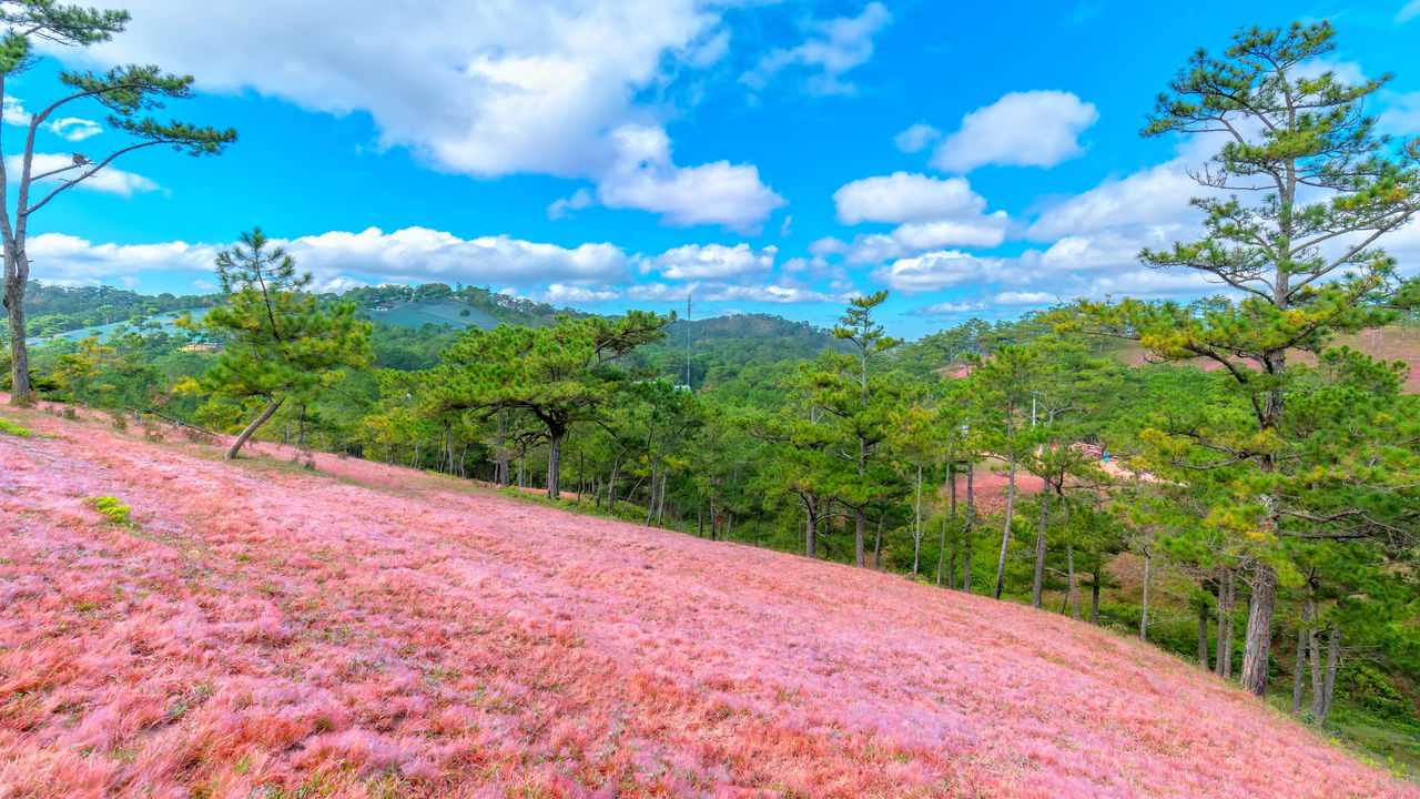Essa cidade do Vietnã parece saída de um sonho