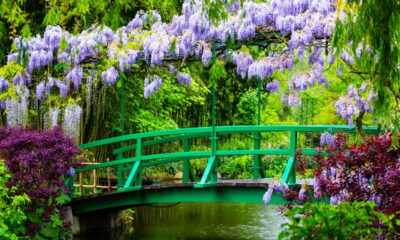 A vila francesa onde cada estação revela um espetáculo de cores e luz