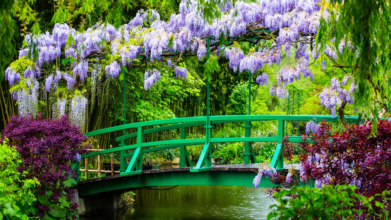 A vila francesa onde cada estação revela um espetáculo de cores e luz