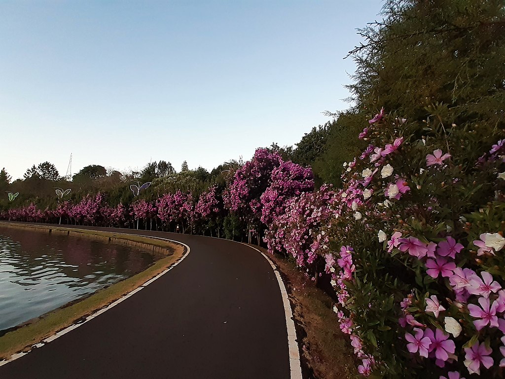 Essa cidade no sul do Brasil oferece educação de ponta e vida tranquila