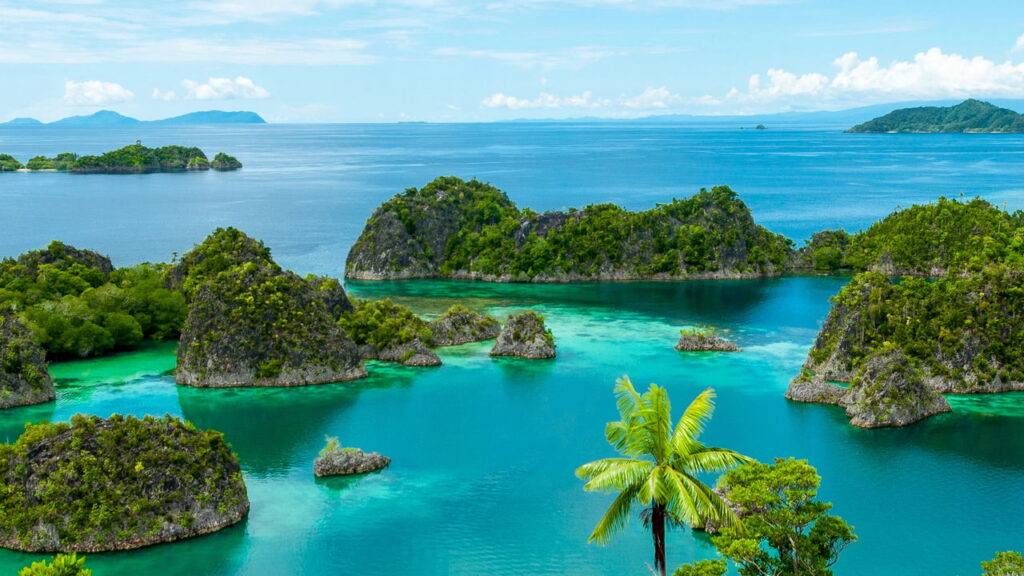 Se encante com essa biodiversidade única em um dos mares mais puros do mundo