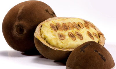 A fruta exótica que tem sabor de chocolate