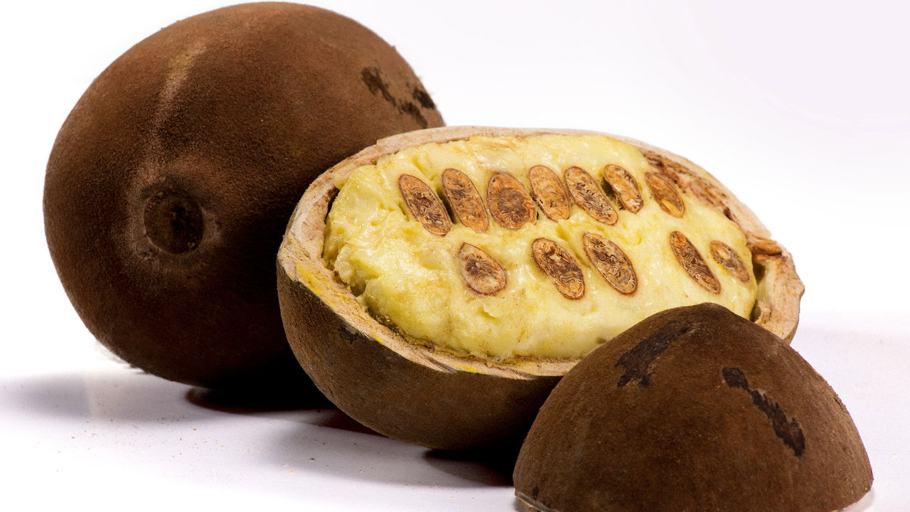 A fruta exótica que tem sabor de chocolate