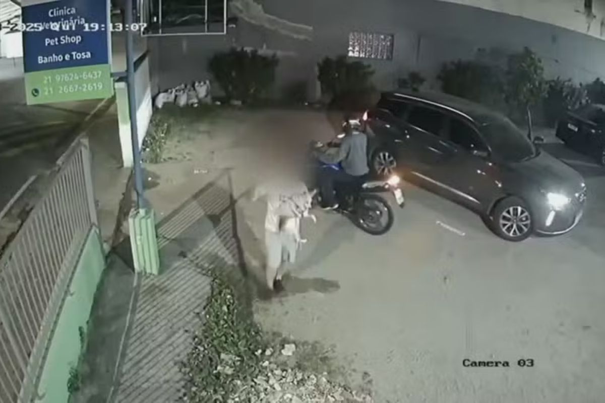 Motorista salva cachorro antes de carro ser roubado em Nova Iguaçu