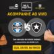 Grêmio x Botafogo ao vivo
