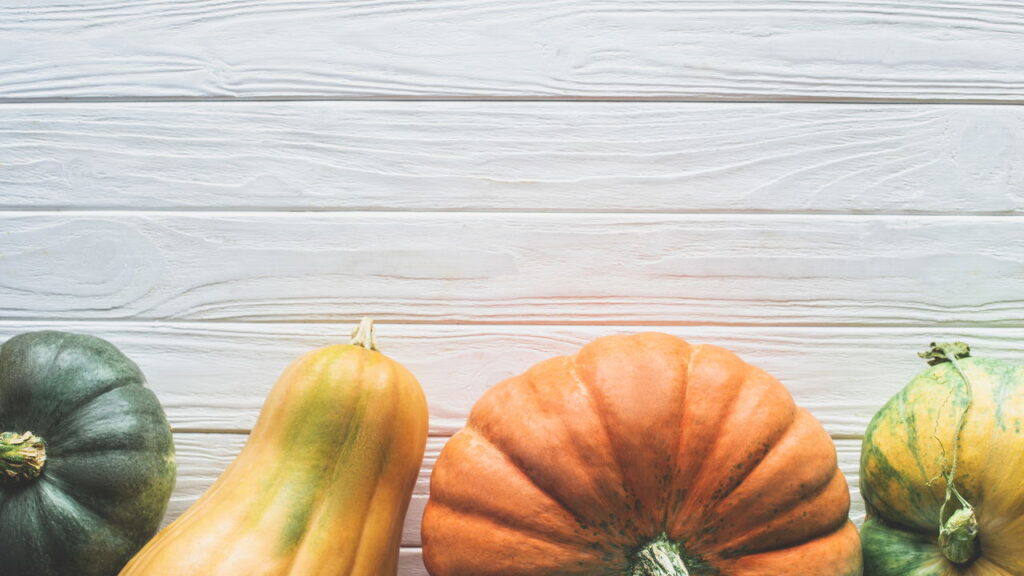 Na sua região, você prefere chamar de abóbora, jerimum ou moranga? Esse debate revela a riqueza cultural do Brasil