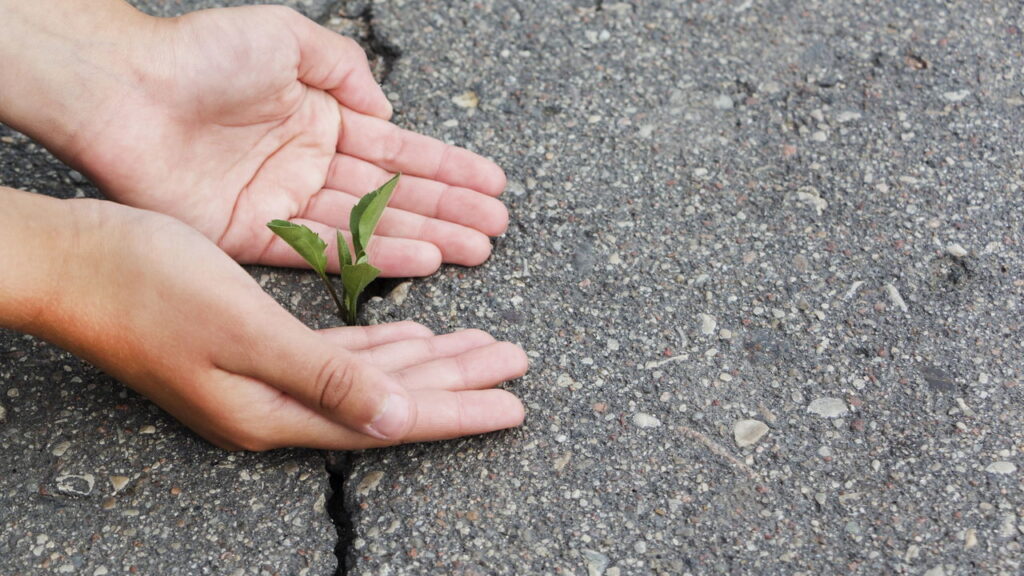 Os astros estão colocando três signos em destaque neste ciclo, trazendo oportunidades inesperadas que podem abrir novos caminhos e impulsionar transformações importantes.
