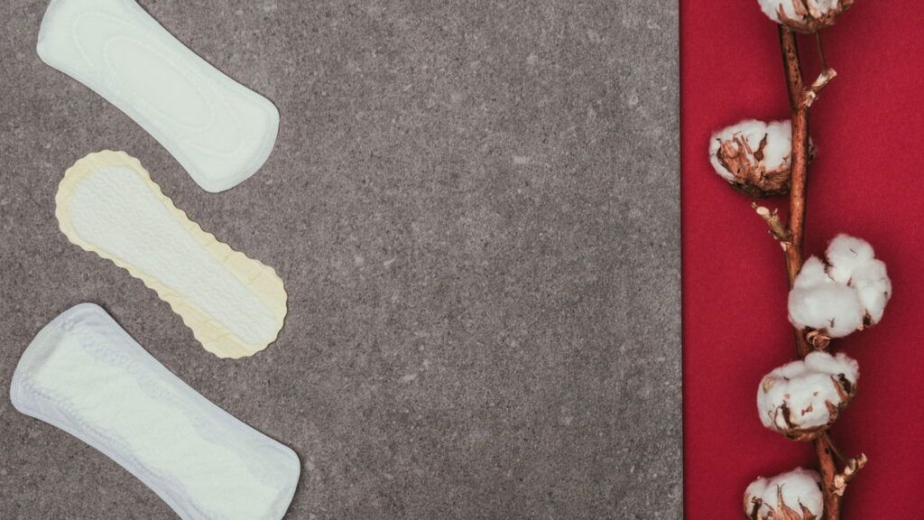 Entender a diferença entre absolver e absorver é crucial para garantir a comunicação clara e correta no cotidiano