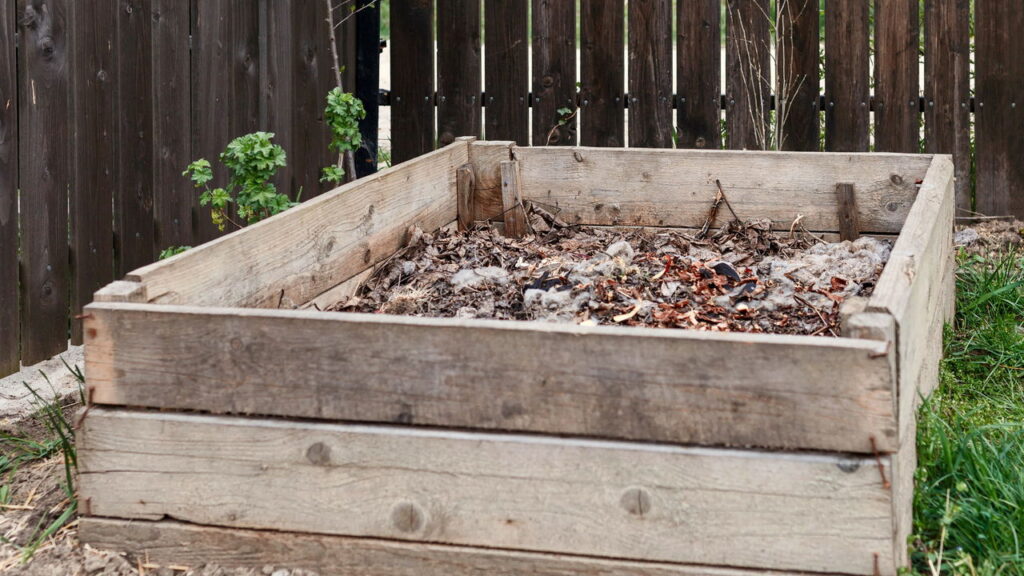 O aumento da produção e o crescimento saudável são metas essenciais para quem cultiva jabuticabeiras. É fundamental conhecer estratégias que potencializam esse desenvolvimento, especialmente utilizando adubação orgânica